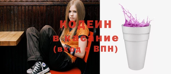 хмурый Каменка