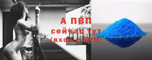 стафф Киреевск